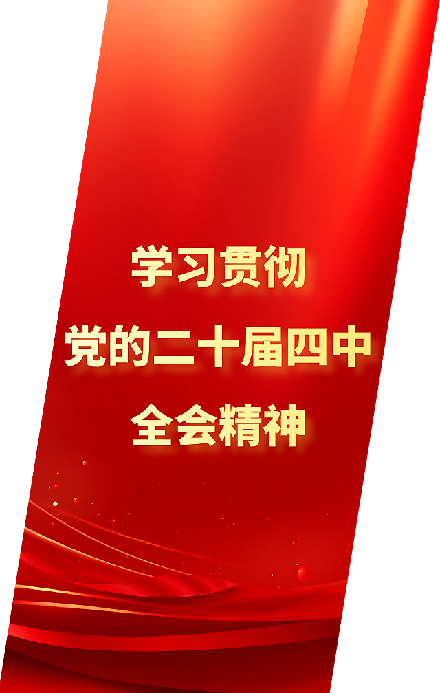 学习贯彻党的二十届四中全会精神